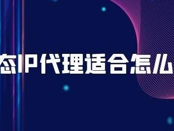 豌豆ip代理官网（豌豆ip代理官网登录）